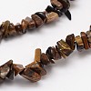 Chips Natural Tiger Eye Beads Strands G-N0164-66-2