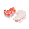 Resin Cabochons RESI-R456-04A-2