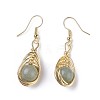 Natural Mixed Stone Dangle Earrings EJEW-F223-06-2