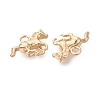 Brass Pendants KK-Q074-22G-2