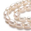 Grade AAA Natural Cultured Freshwater Pearl Beads Strands PEAR-L033-67-2