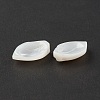 Natural Sea Shell Beads SSHEL-T012-15-5