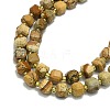 Natural Picture Jasper Beads Strand G-I376-D78-01-3