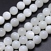 Natural White Moonstone Round Bead Strands G-M262-14mm-04-1