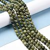 Natural Gemstone Beads GSR6mmC032-2