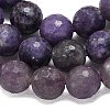 Natural Lepidolite/Purple Mica Beads Strands G-B165-A11-10mm-3