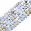 Natural Blue Lace Agate Beads Strands G-F715-032A-1