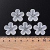 Transparent Acrylic Beads MACR-S373-116-D01-5