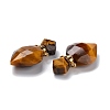 Natural Tiger Eye Perfume Bottle Pendants G-D058-11G-05-2