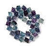Natural Fluorite Beads Strands G-NH0063-01-3