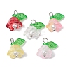 Mixed Color Glass Pearl & Acrylic Charms PALLOY-JF02567-01-1