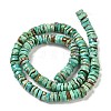 Natural Turquoise Beads Strands G-P506-05B-2