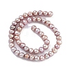 Natural Cultured Freshwater Pearl Beads Strands PEAR-C003-10G-3