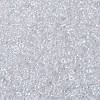 MIYUKI Round Rocailles Beads SEED-G008-RR0250-3