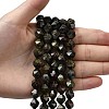 Natural Dragon Blood Beads Strands G-Z119-A17-03-2