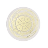 Flat Round Natural Selenite Slice Coasters DJEW-C015-02J-1