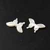 Natural White Shell Beads SHEL-M021-09B-3