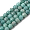 Natural Amazonite Beads Strands G-F461-12-10mm-01A-2