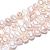 Natural Cultured Freshwater Pearl Beads Strands PEAR-N014-04D-01-3