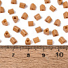 FGB Baking Paint Glass Seed Beads SEED-Q040-09A-06-4