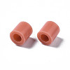 PE Fuse Beads LS-X-DIY-R013-A42-2