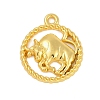 Twelve Constellations Alloy Pendants PALLOY-Q006-01I-G-1