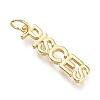 Brass Pendants X-ZIRC-I048-15G-09-1
