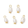Natural Cultured Freshwater Pearl Rice Pendants PALLOY-JF03922-02-1