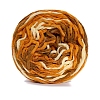 Super Bulky Segment Dyed Chunky Polyester Yarn PW-WG7D464-11-1