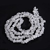 Natural White Jade Beads Strands G-G011-02-3