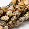Natural Crazy Agate Nuggets Bead Strands G-L288-12-1