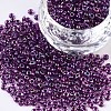 8/0 Glass Seed Beads SEED-A016-3mm-213-1