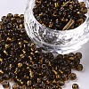 6/0 Glass Seed Beads SEED-US0003-4mm-53-1