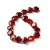 Natural Red Agate Beads Strands G-K357-C05-01-3