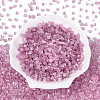 Transparent Inside Colours Glass Seed Beads SEED-T007-13C-1