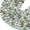 Natural Myanmar Jade Jadeite Beads Strands G-K389-B02-01-3
