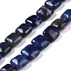 Natural Sodalite Beads Strands G-M435-A07-01-1