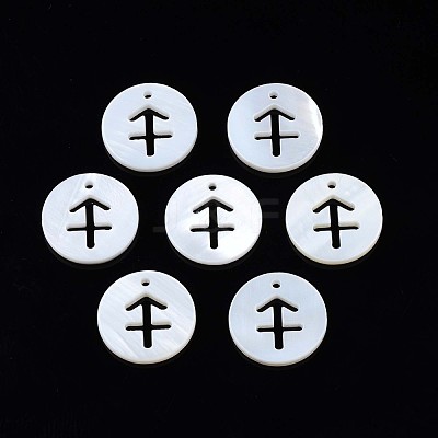 Natural Freshwater Shell Charms SHEL-N027-10C-1