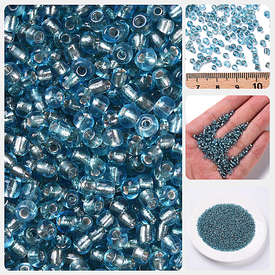 3000Pcs Glass Seed Beads SEED-PA0001-29B-03-1