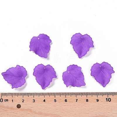Autumn Theme Transparent Frosted Acrylic Pendants LS-X-PAF002Y-8-1