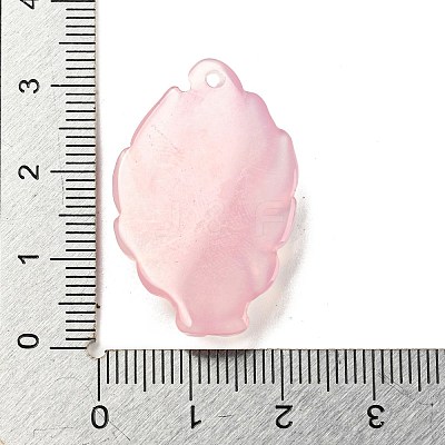 Dyed Natural Agate Carved Pendants G-A098-01A-1