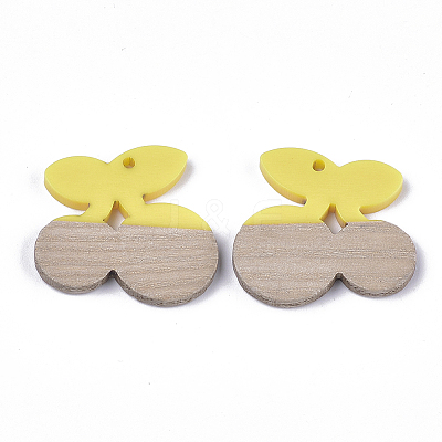 Resin & Wood Pendants RESI-S358-47A-1