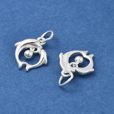 925 Sterling Silver Charms STER-D302-05B-S-1
