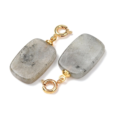 Natural Labradorite Pendant Decorations G-G461-01G-07-1