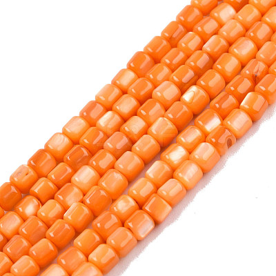Natural Freshwater Shell Beads Strands SHEL-N003-33-A07-1