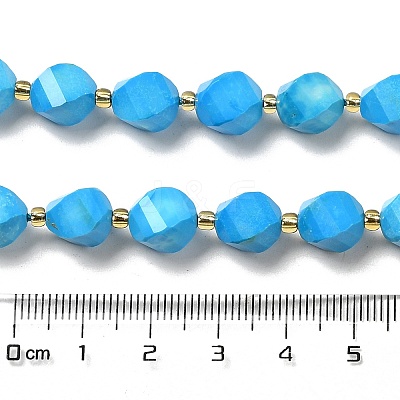 Dyed Natural Howlite Beads Strands G-G023-B01-01A-1