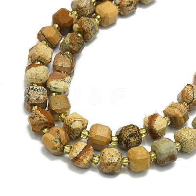 Natural Picture Jasper Beads Strand G-I376-D78-01-1