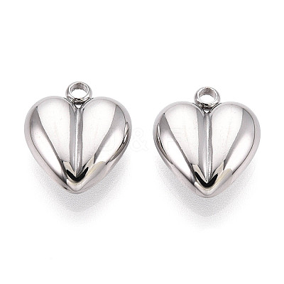 304 Stainless Steel Charms LS-STAS-T065-80P-1