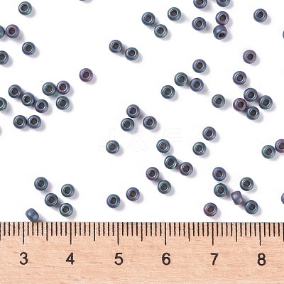MIYUKI Round Rocailles Beads X-SEED-G008-RR2009-1