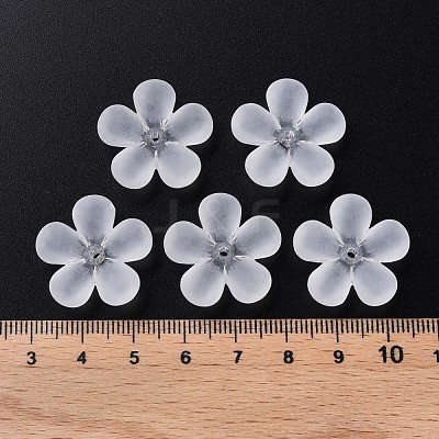 Transparent Acrylic Beads MACR-S373-116-D01-1